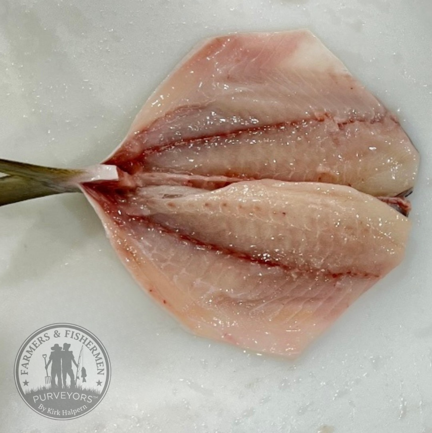 Indian River, Florida Pompano (2) Skin On Fillets Connected by Tail
