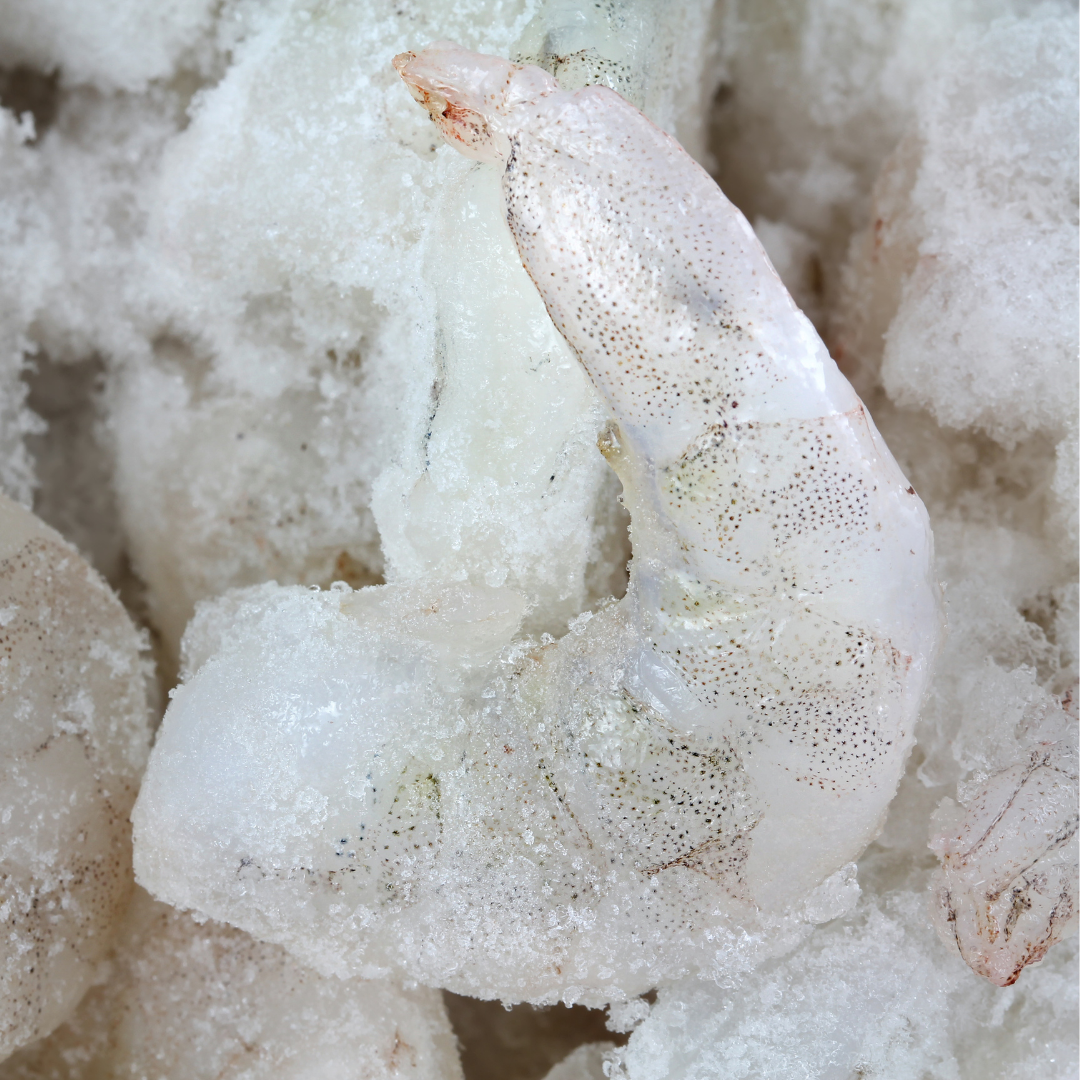 Huge 16/20 Peeled & Deveined (P&D) Tail Off White Shrimp