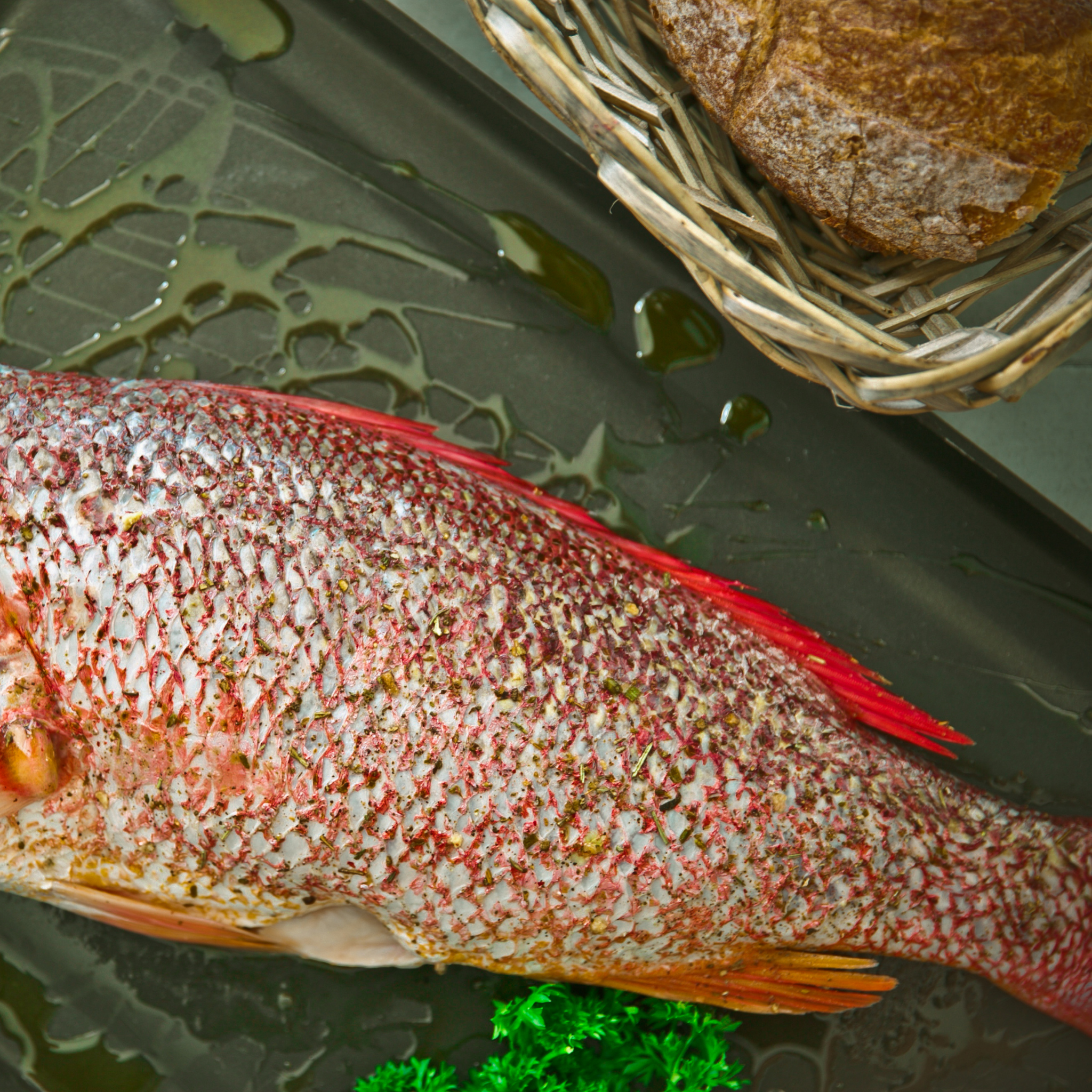 Whole red snapper