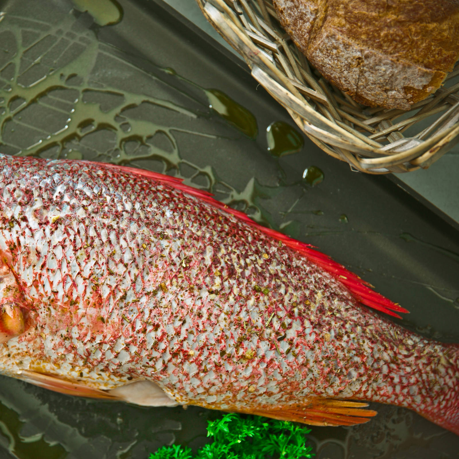 Whole red snapper